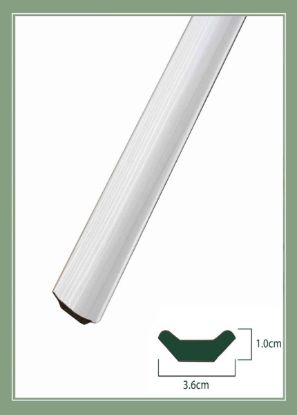 تصویر اسکوتی 3 سانت صدفی 1802