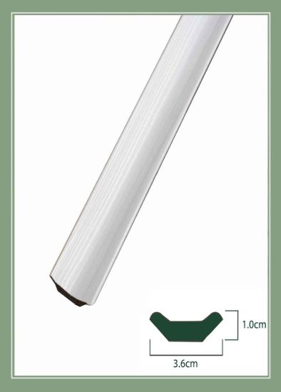 تصویر اسکوتی 3 سانت صدفی 1802